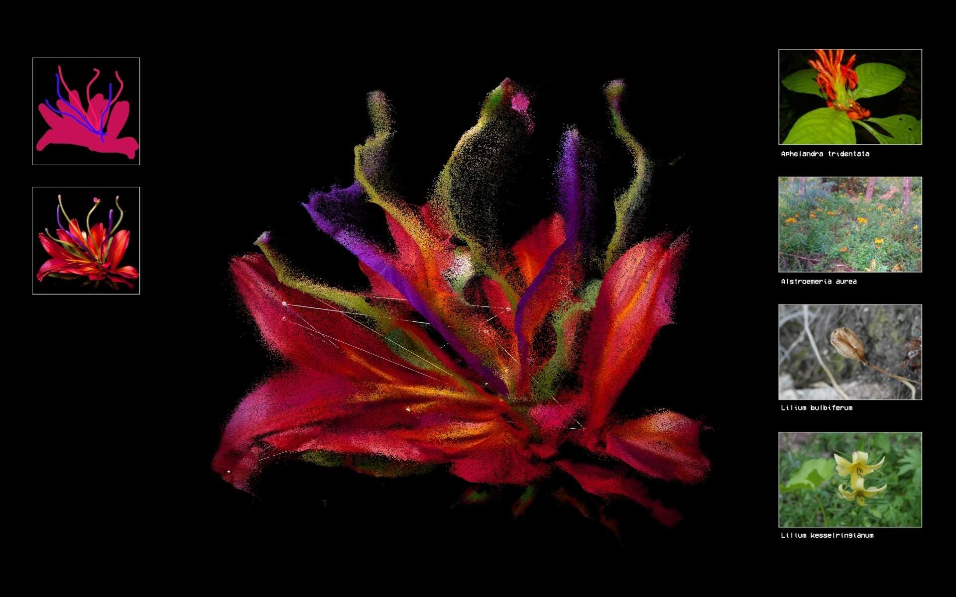 Flora Synthetica, image 4