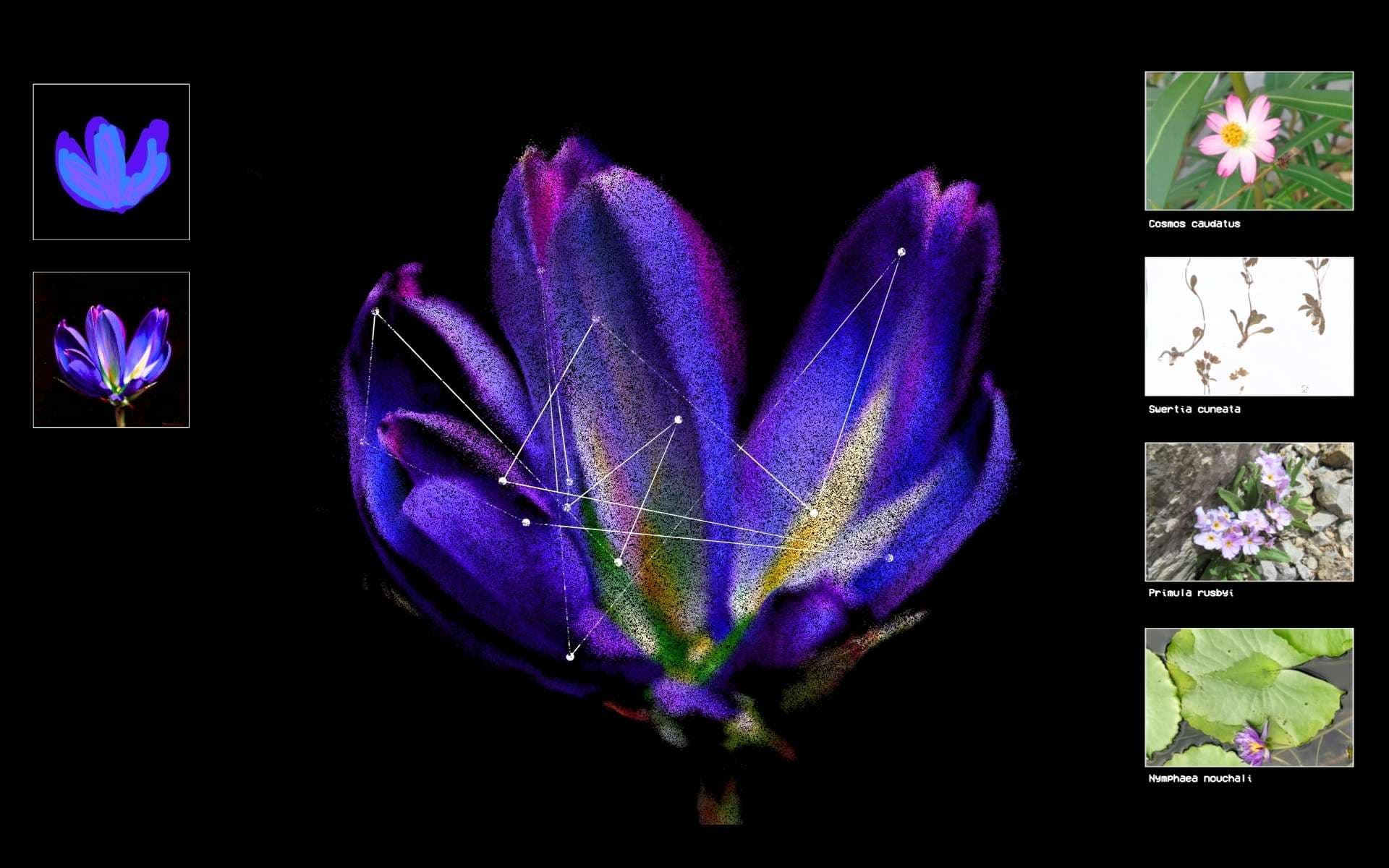 Flora Synthetica, image 6