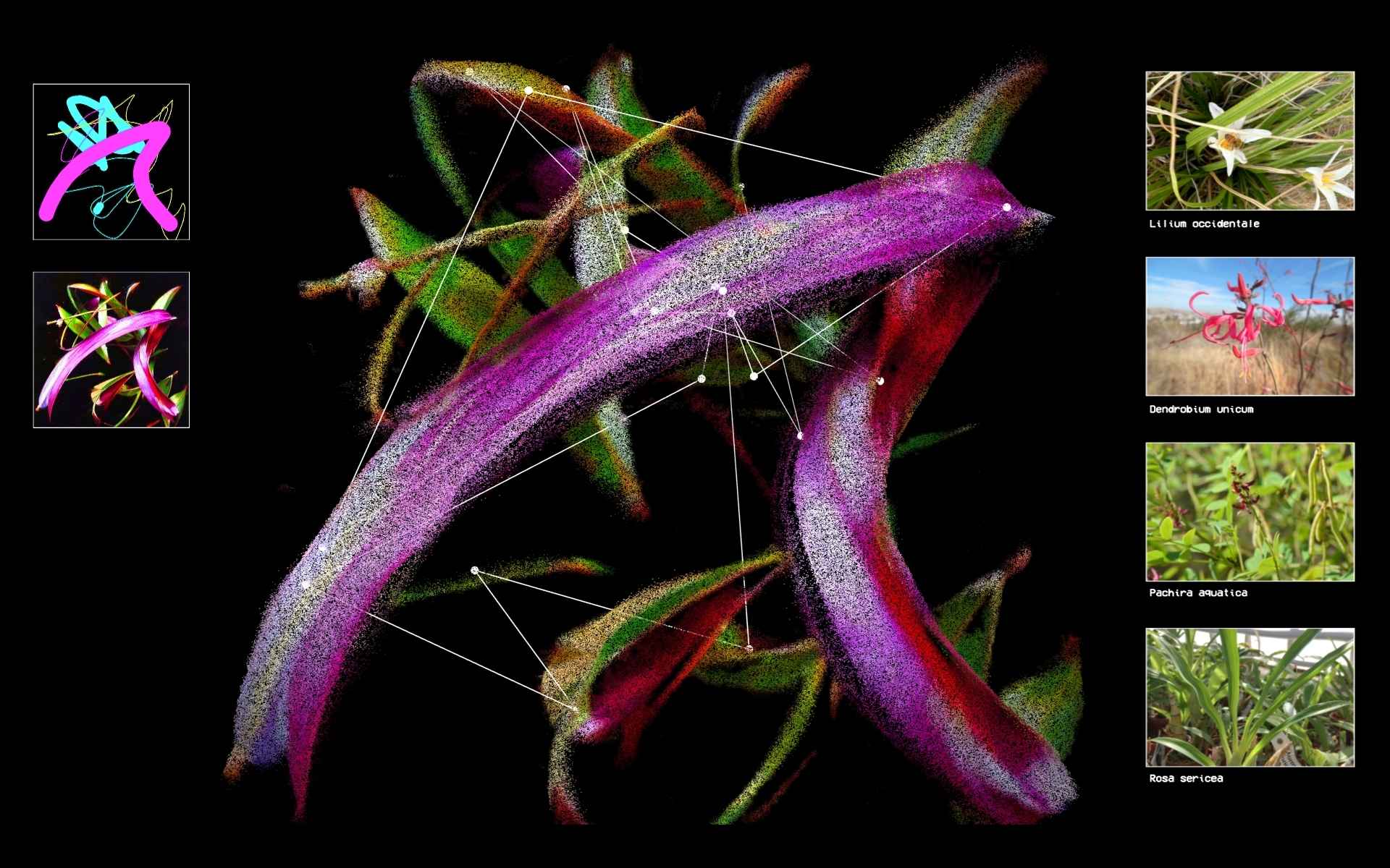 Flora Synthetica, image 5