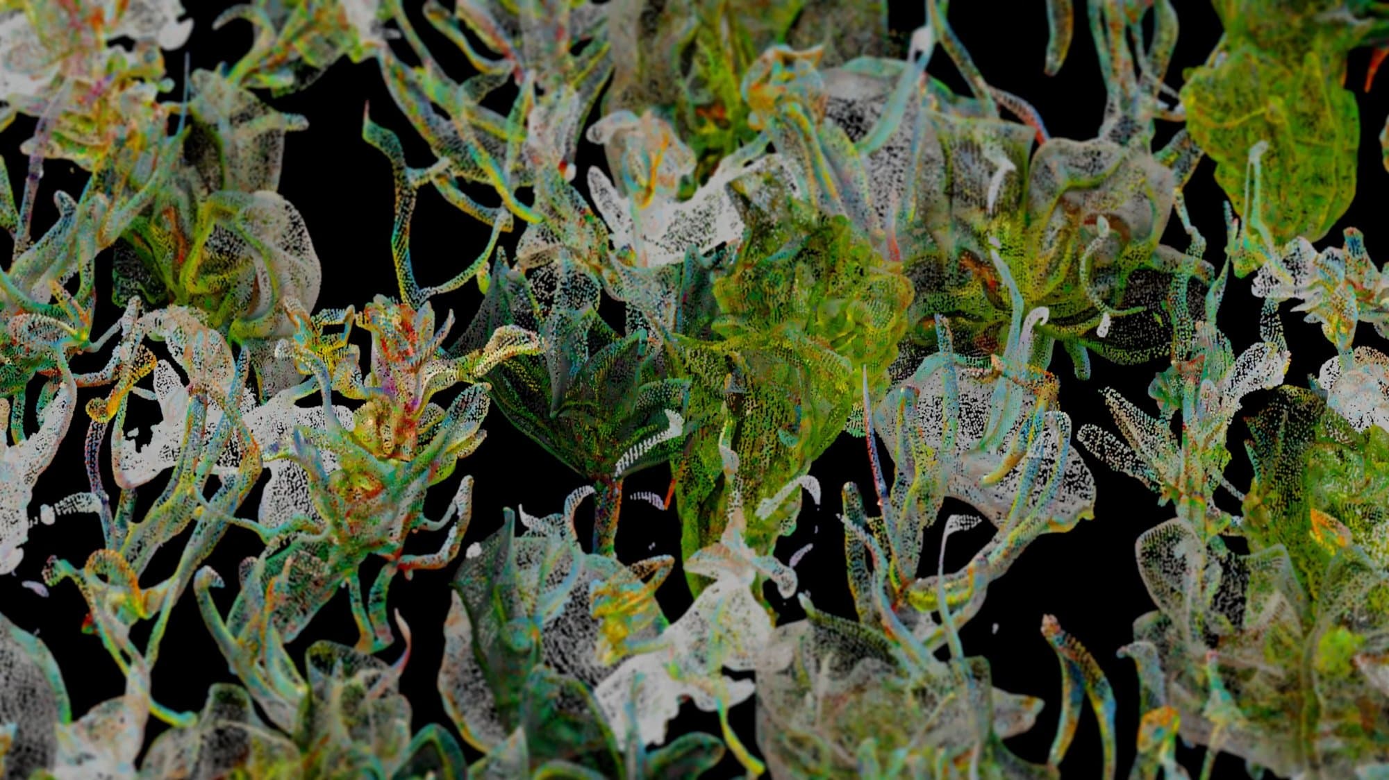 Exploring the Pluriverse - Moss II, image 3