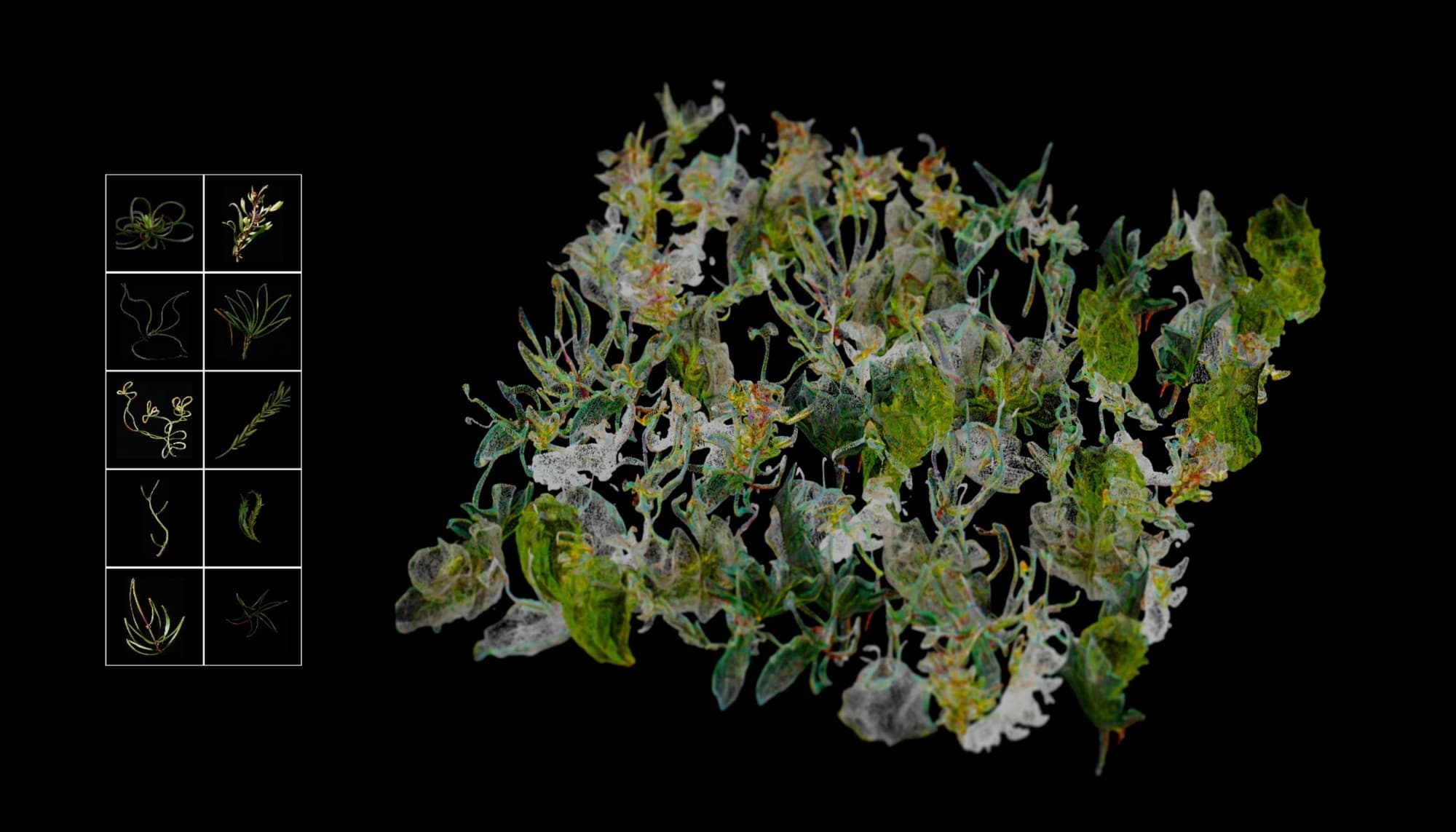Exploring the Pluriverse - Moss II, image 1