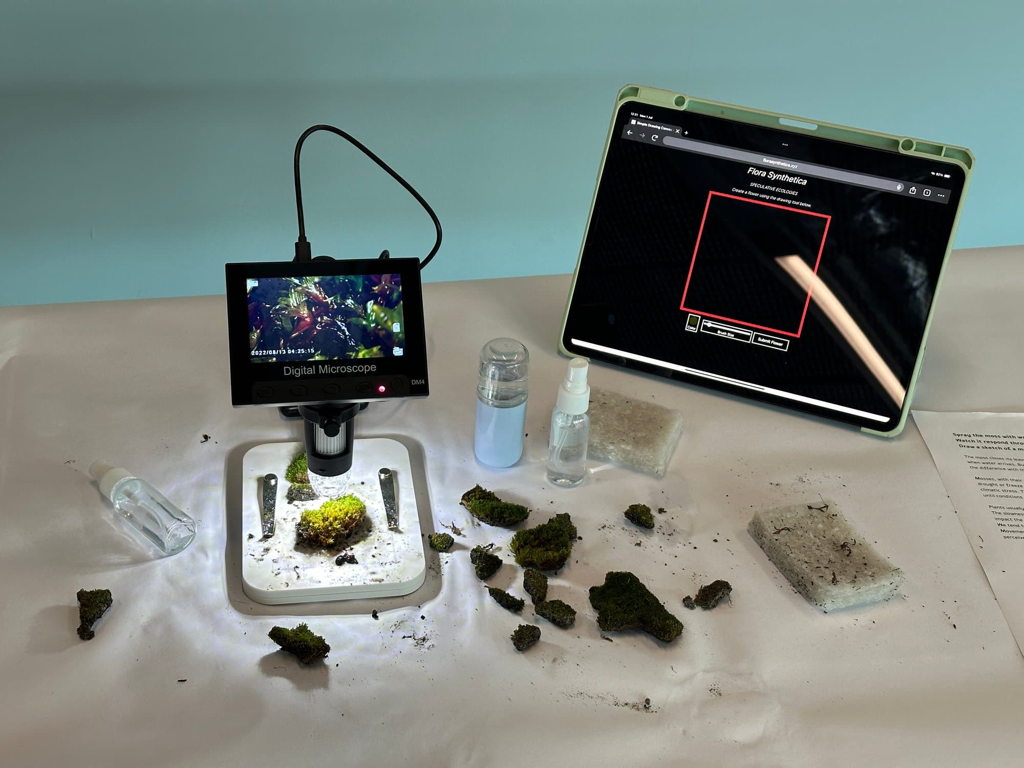 Exploring the Pluriverse - Moss II, image 4