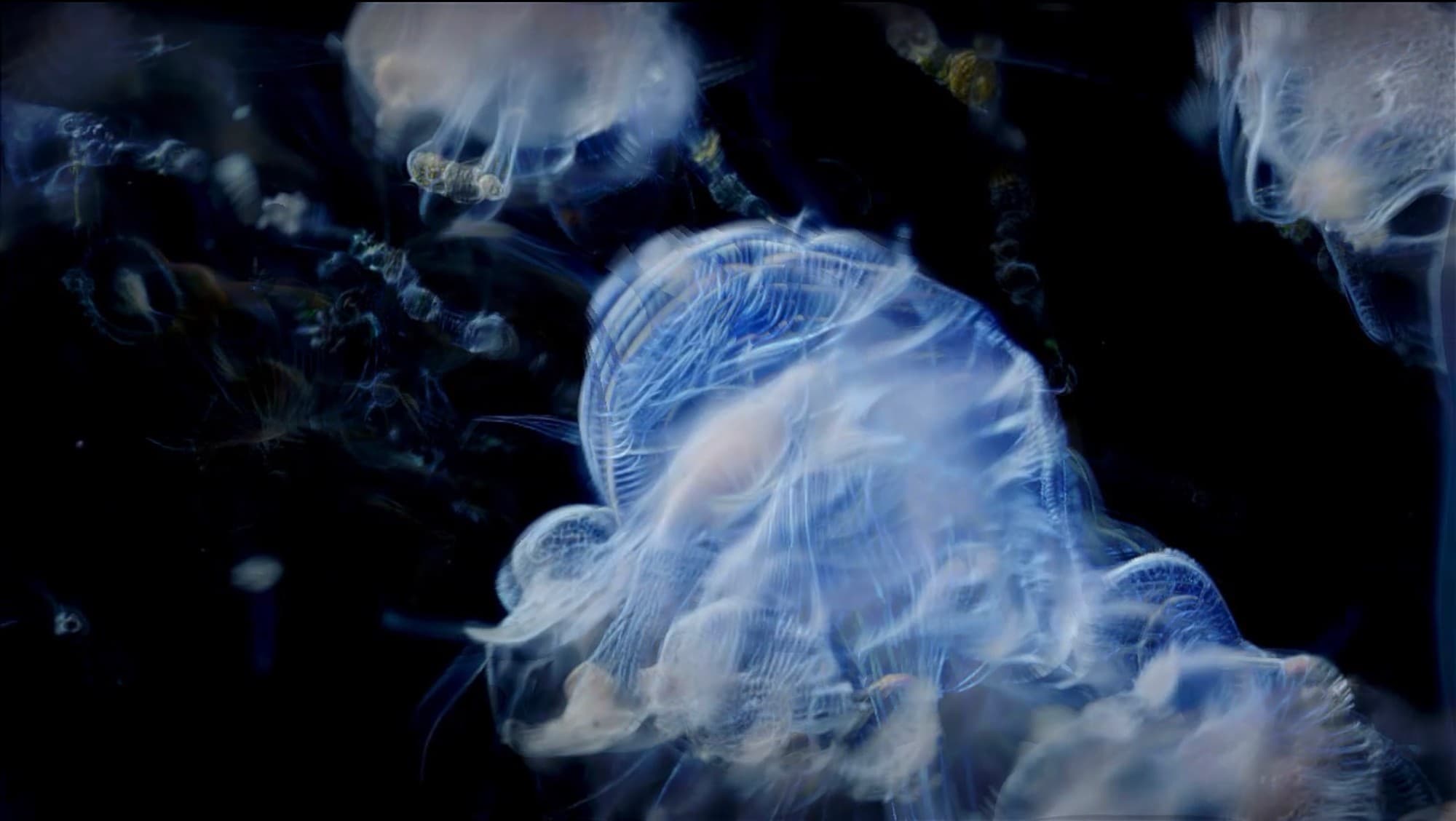 A Sea Change, image 1