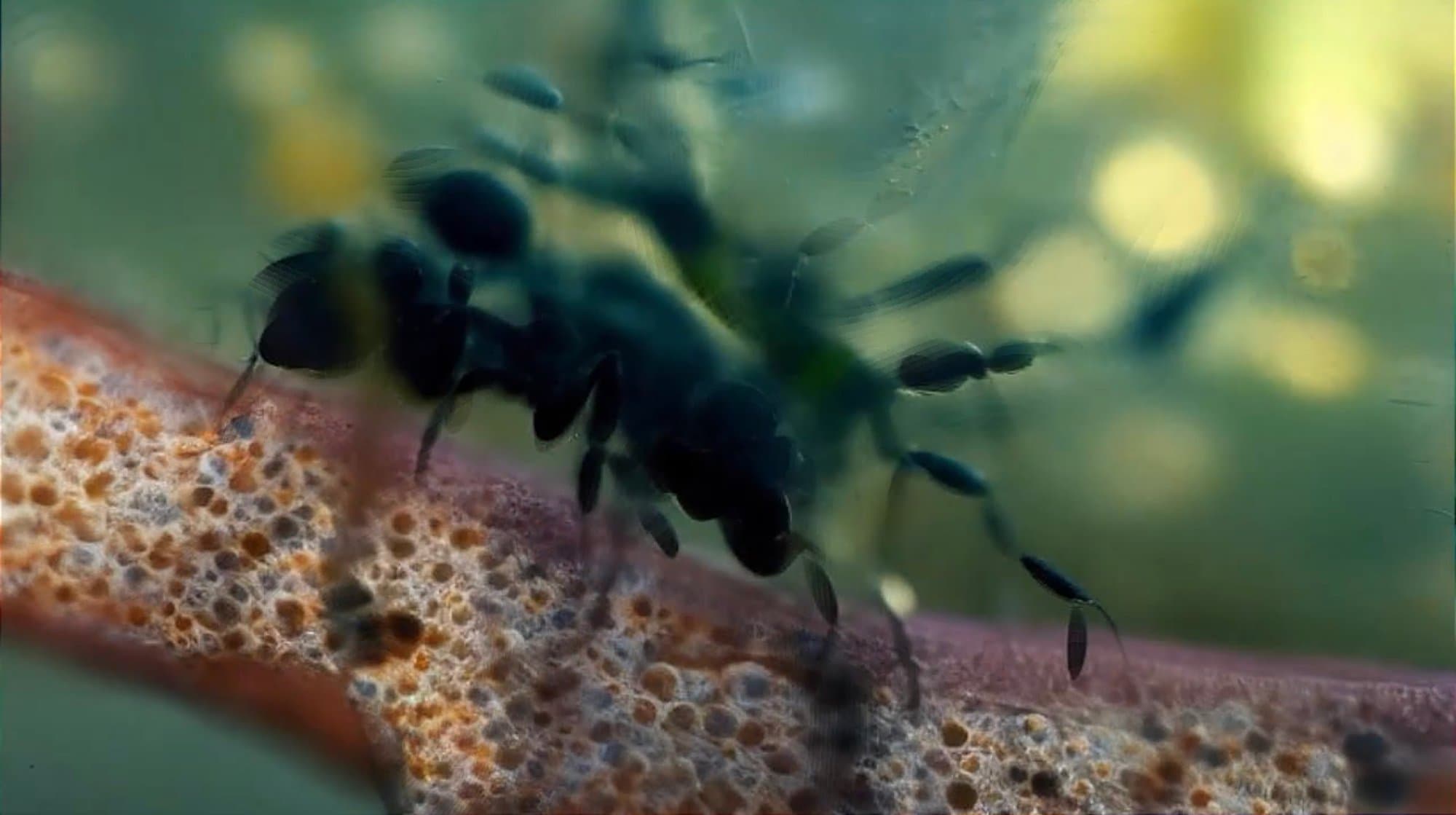 A Sea Change, image 3