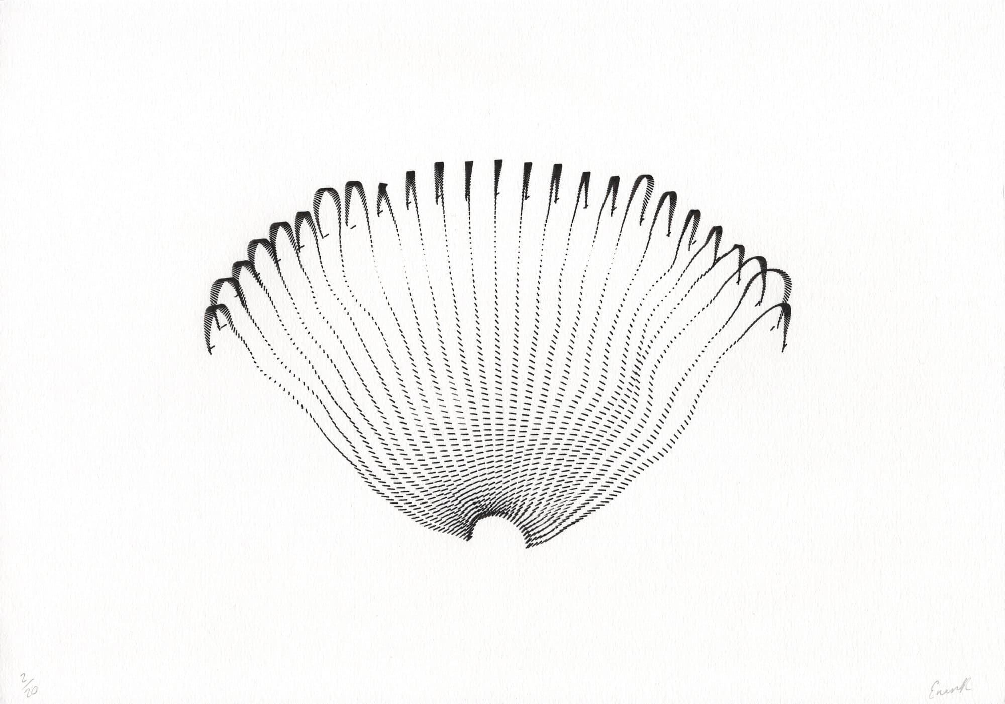 Tendrils, image 5