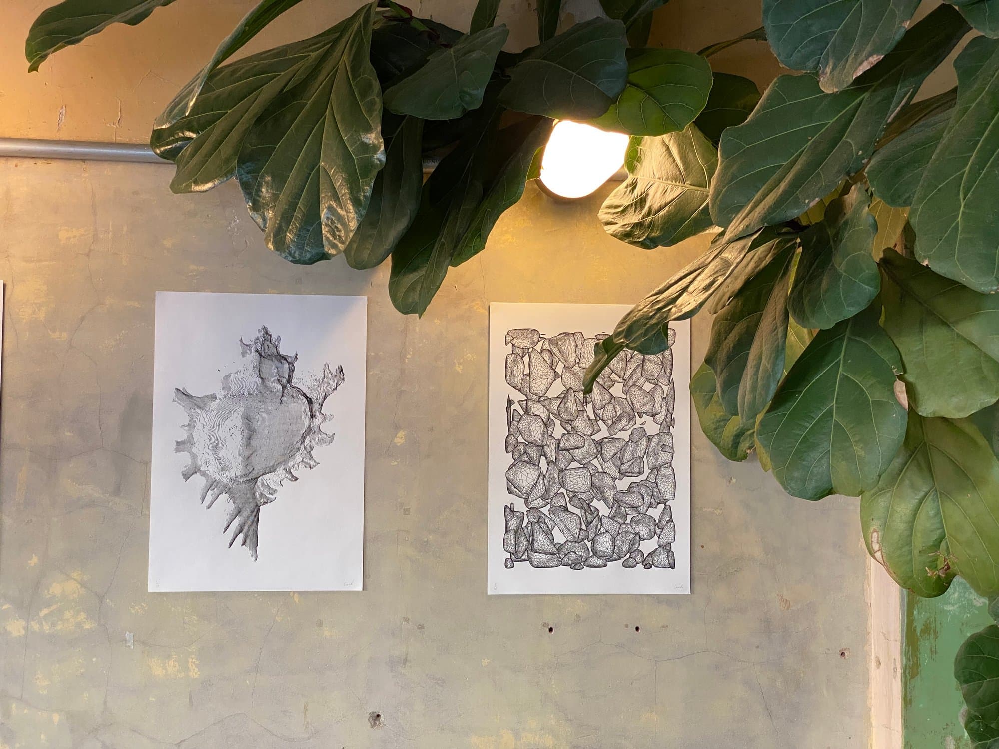 Tendrils, image 2