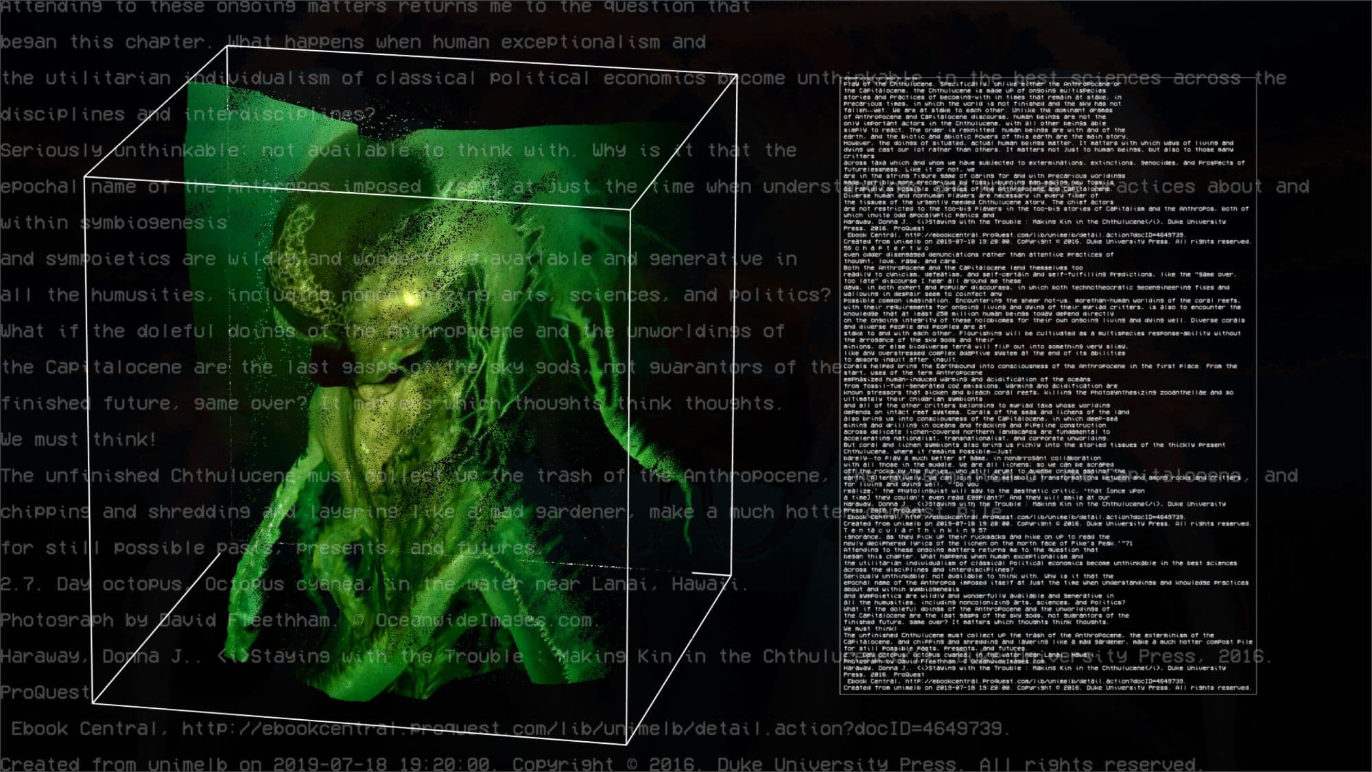 Tentacular Thinking, image 2