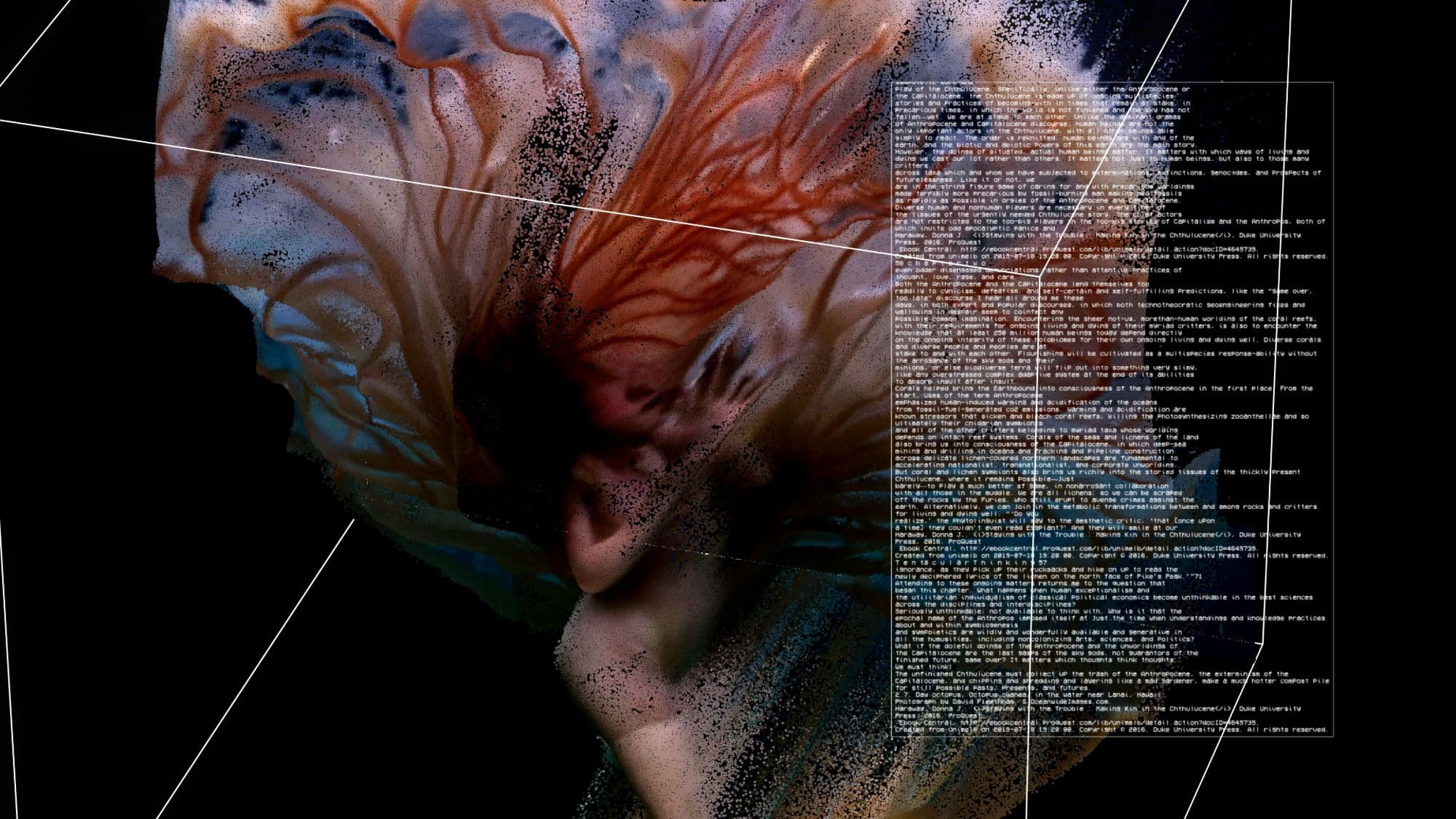 Tentacular Thinking, image 3