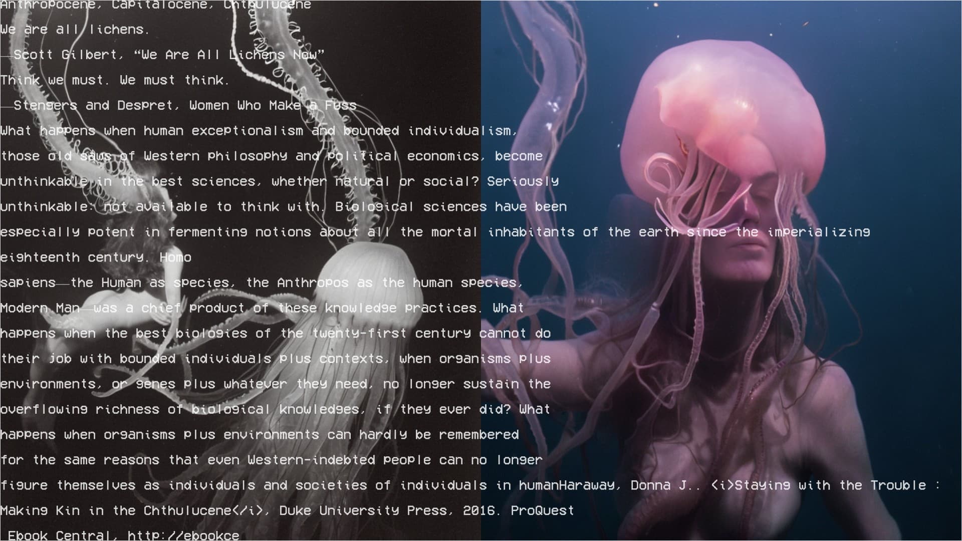Tentacular Thinking, image 5